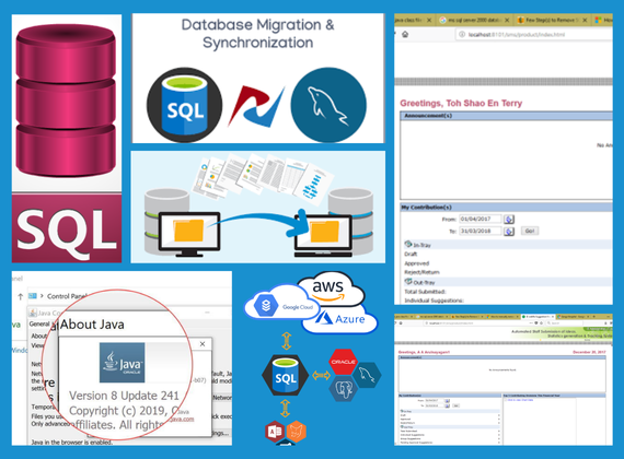 Smart Migration System